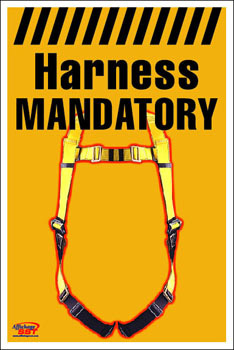 harness-5.jpg